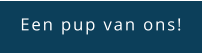 Een pup van ons!