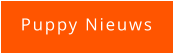 Puppy Nieuws