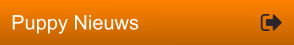 Puppy Nieuws